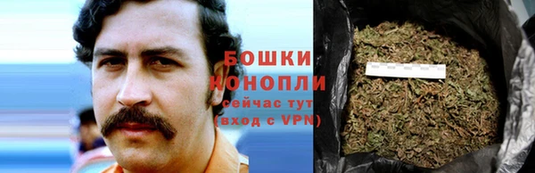 ALPHA PVP Беломорск