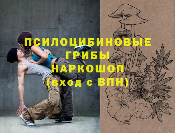 гидропоника Белоозёрский