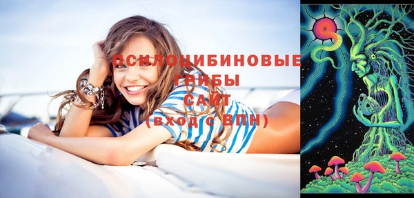 mix Богородицк